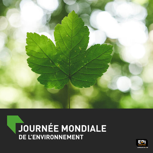 JOURNÉE MONDIALE DE L'ENVIRONNEMENT